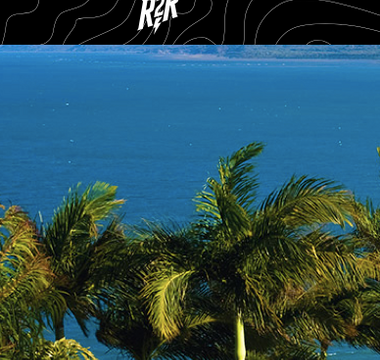 A photo of green palm trees against a bright blue sea, with the Reef 2 Reef logo at the top